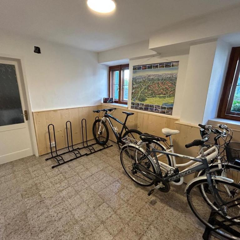 Appartamento Dolomiti Dream 2 - Appartamento con 1 Camera da Letto e Vista Giardino - 19