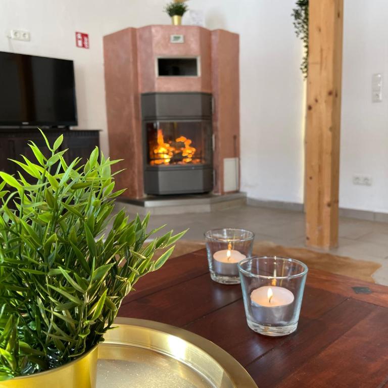 Haus mit Garten und Kamin - Apartment mit 2 Schlafzimmern mit Balkon und Terrasse - 1