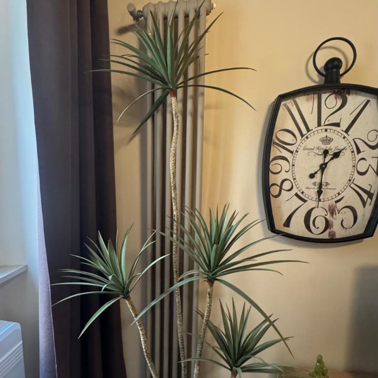 Antica Residenza del Corso Viterbo appartamento Vittorio Emanuele - centro storico - Appartamento con 1 Camera da Letto - 14