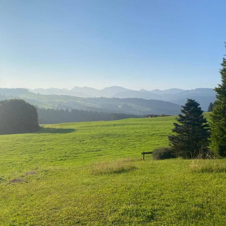 Neu - Ferienwohnung Allgäuparadies - Traumhafte Aussichten mitten in der Natur des Westallgäus - Apartment mit 1 Schlafzimmer und Terrasse - 24