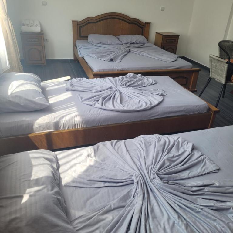 Accommodation Royal Azur - Apartment - Ground Floor - 9