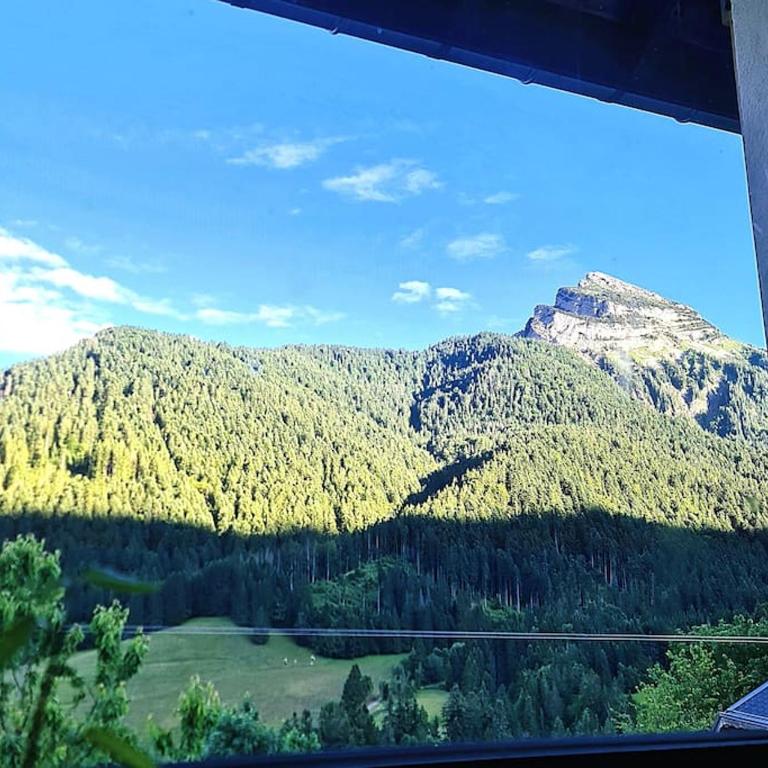 La Grange Doman gîte 1050m alt facing direct Mt Chamechaude, 2-4 persons 125euros - Maison 2 Chambres - 36