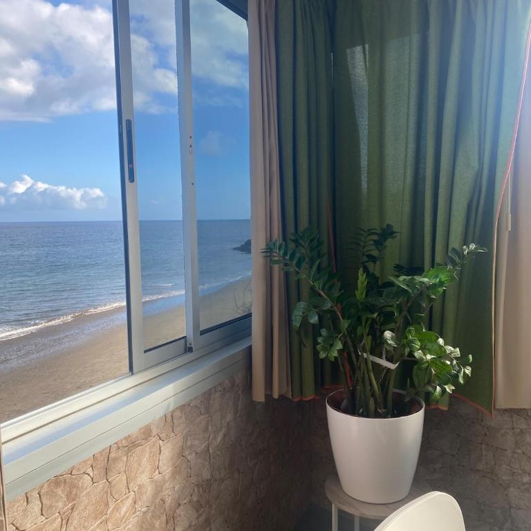Seaside accommodation in Playa del Aguila - Two-Bedroom Apartment - 1