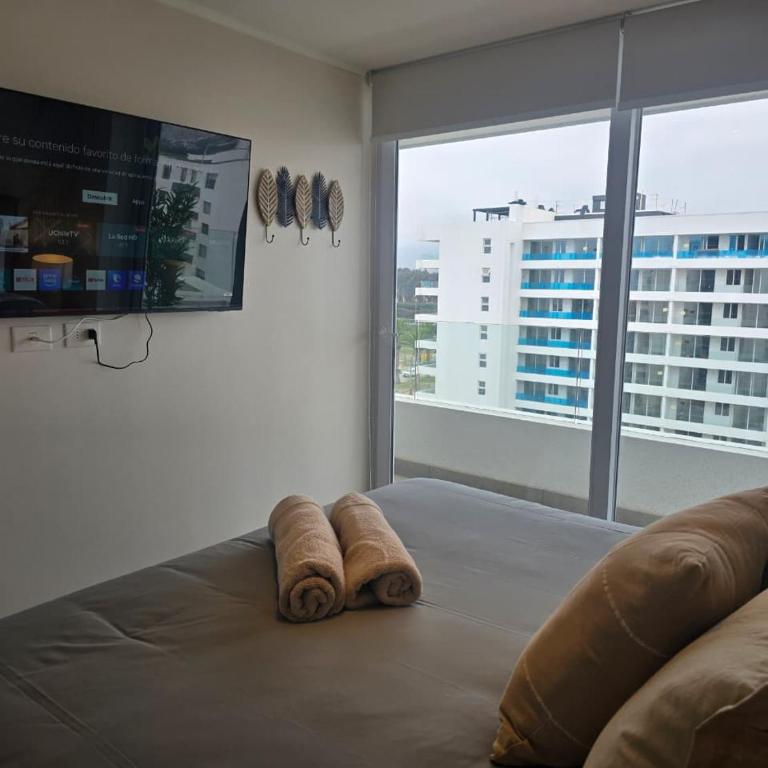 HOM I Faro Serena Parking Mar Turismo Piscina Wifi - Apartment - 37