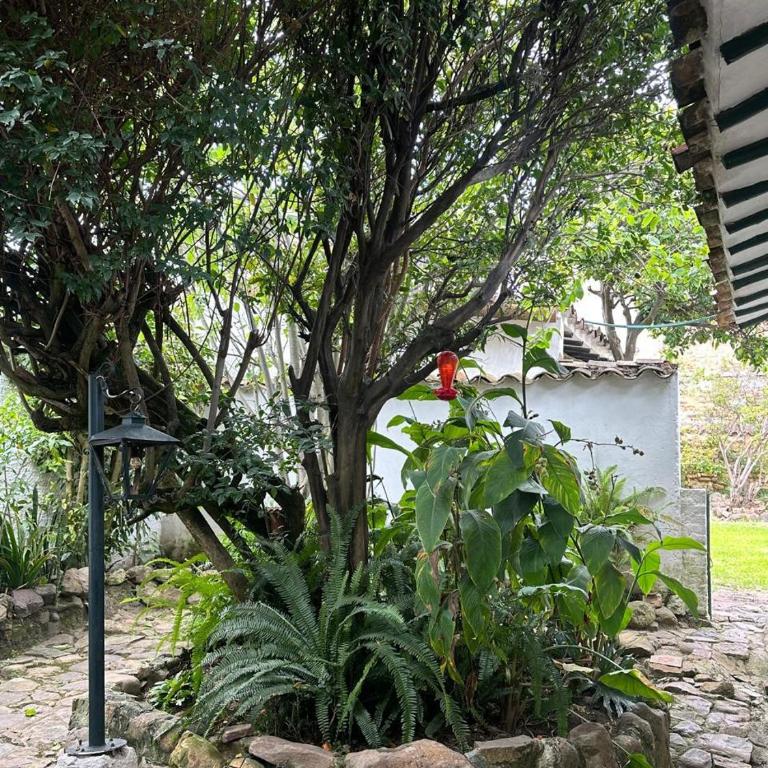 Villa De Leyva El Refugio de la Villa - Five-Bedroom House - 13