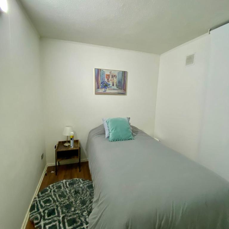 Departamento Mirador Volcán Villarrica, Pucón - Apartamento de 3 dormitorios - 12