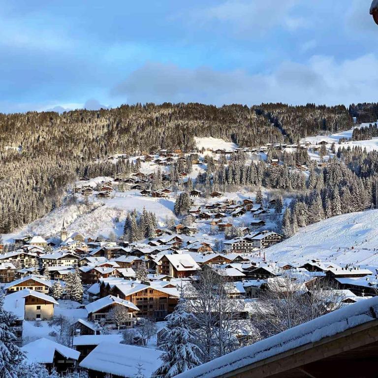 Chalet spacieux 5* avec jacuzzi et sauna, animaux acceptés - FR-1-598-41 - Chalet (14 Erwachsene) - 16