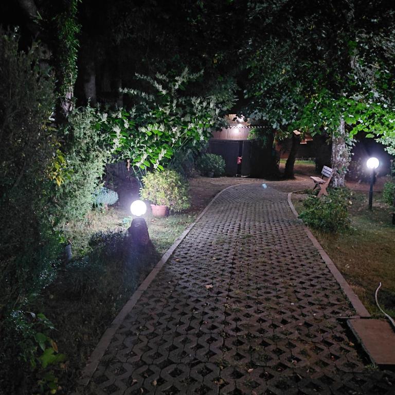 Top Hill Lodge - Kuća sa 3 Spavaće Sobe - 2