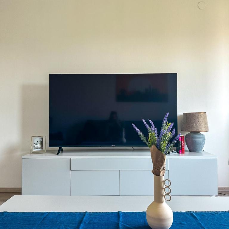 Sarajevo Serenity Apartment - One-Bedroom Apartment - 3