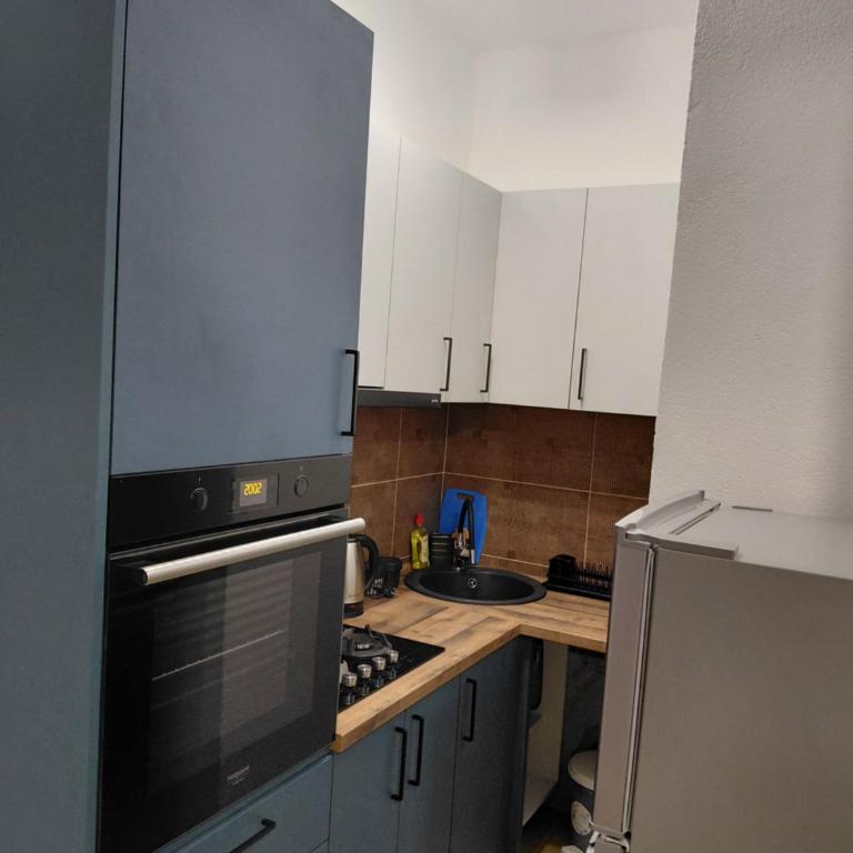 Apartman Milica - One-Bedroom Apartment - 12