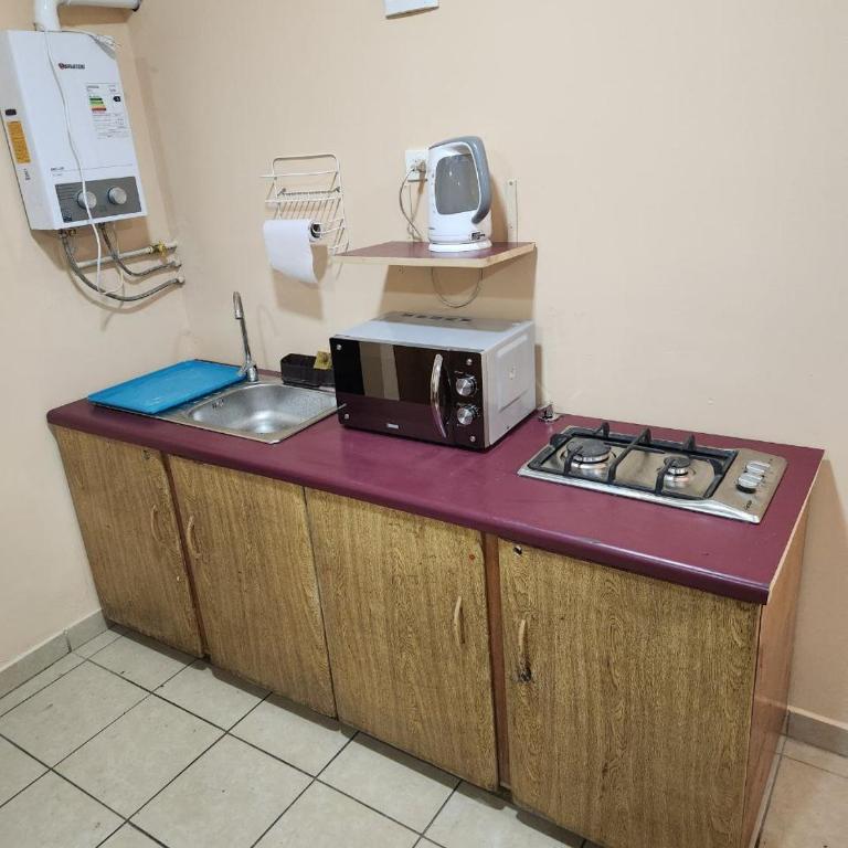 Ven tranquilo al MOVISTAR ARENA - Two-Bedroom Apartment - 13