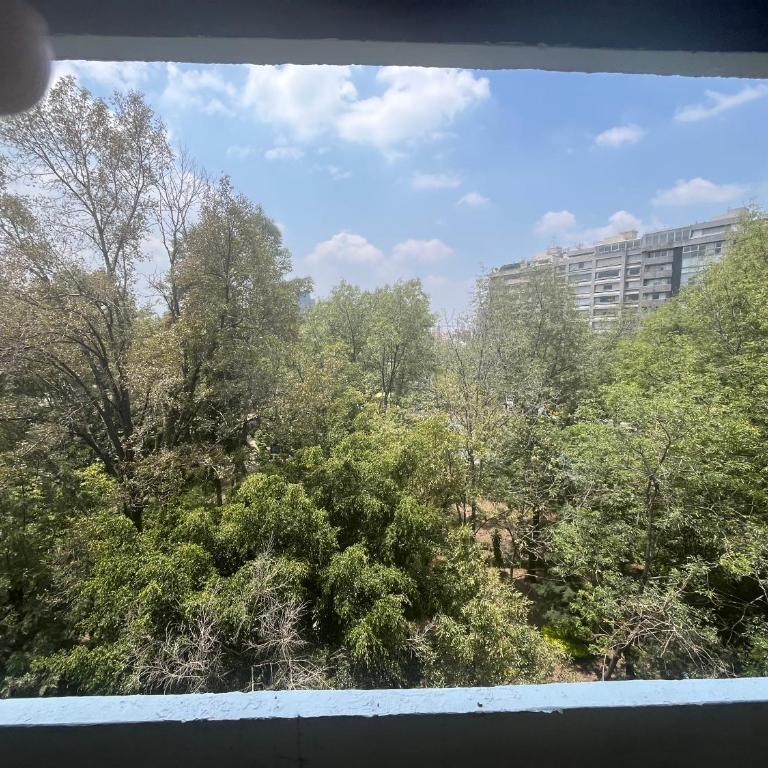 Amplio depto Del Valle - One-Bedroom Apartment - 13