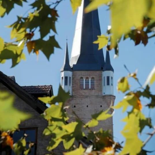 HolaViajerosVGB - Casa de 2 dormitorios - 4