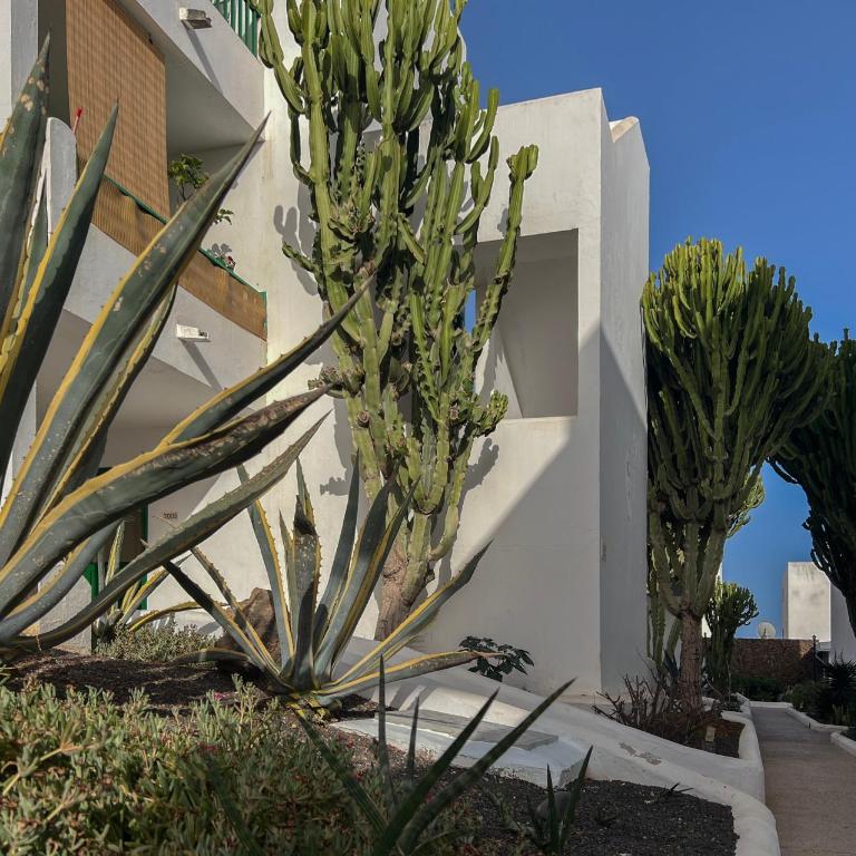 Casa Keke - Apartamento de 1 dormitorio con vistas al jardín - 12