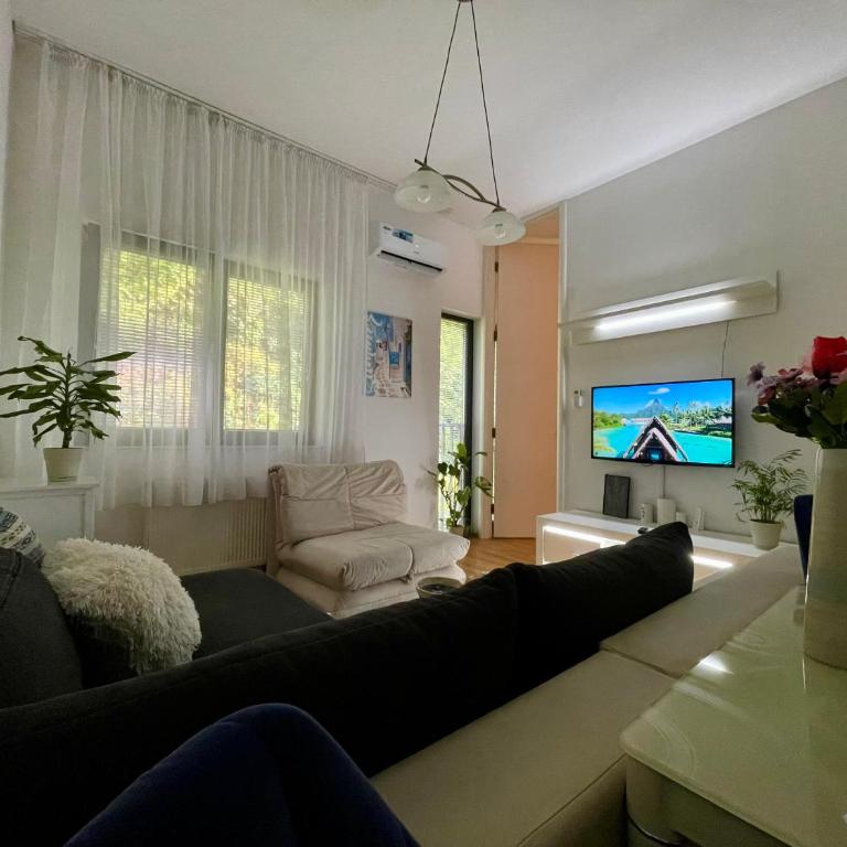 Apartman Centar Lujane - One-Bedroom Apartment - 2