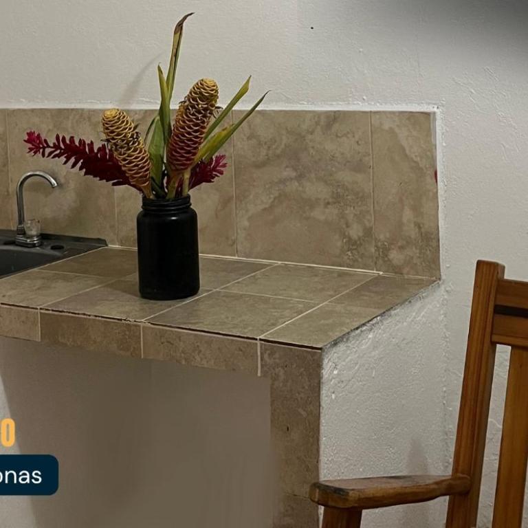 Hotel Casa Costa - Habitación Familiar con baño privado - 8
