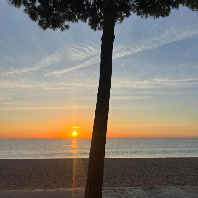 Bravamar Studio, Playa de Aro, Spain - Apartamento de 1 dormitorio - 36