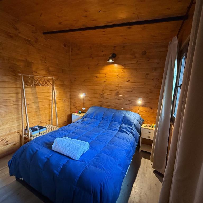 RIO-ABAJO Cabañas frente al RIO MELIQUINA - Chalet de 1 dormitorio - 11