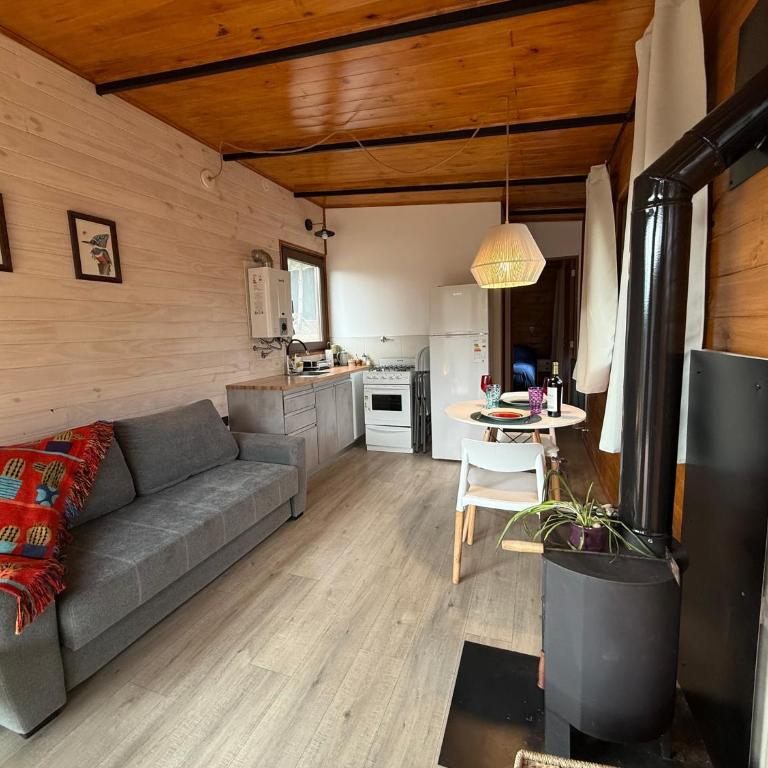 RIO-ABAJO Cabañas frente al RIO MELIQUINA - Chalet de 1 dormitorio - 2