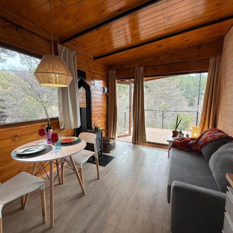 RIO-ABAJO Cabañas frente al RIO MELIQUINA - Chalet de 1 dormitorio - 1