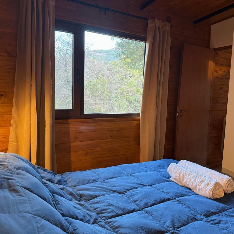 RIO-ABAJO Cabañas frente al RIO MELIQUINA - Chalet de 1 dormitorio - 10