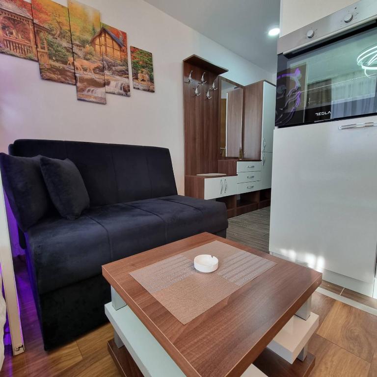 Apartman President Kop - One-Bedroom Apartment - 8