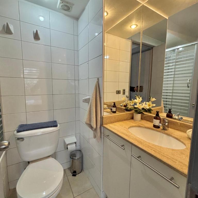 1D1B I Stgo centro I Lastarria - Apartamento de 1 dormitorio - 12