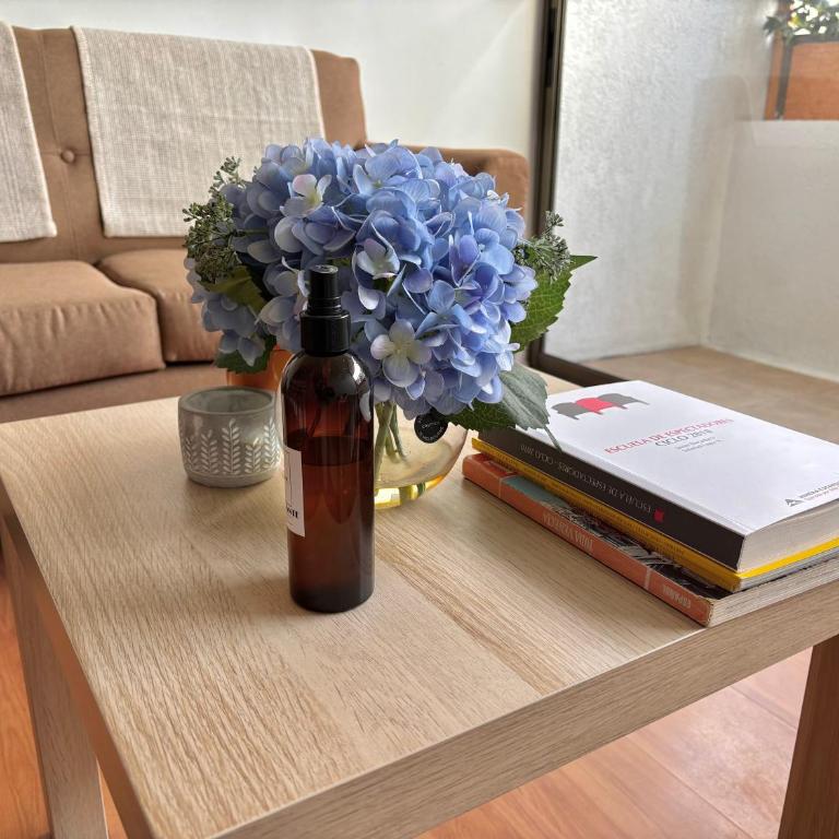 1D1B I Stgo centro I Lastarria - Apartamento de 1 dormitorio - 17