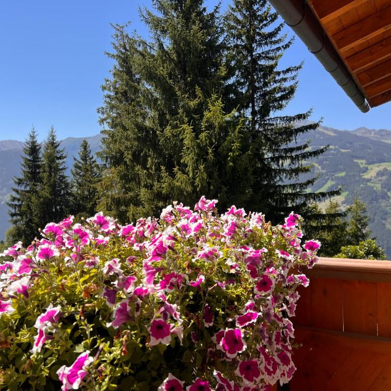 Ferienhaus Zillertal Rohrberg mit Panoramablick und Sauna - Apartment mit 2 Schlafzimmern - 2