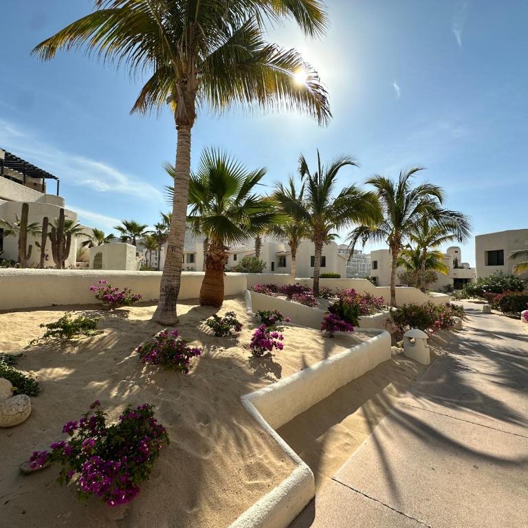 Unit 340- Casa Carina - Expansive Ocean - Apartamento - 18