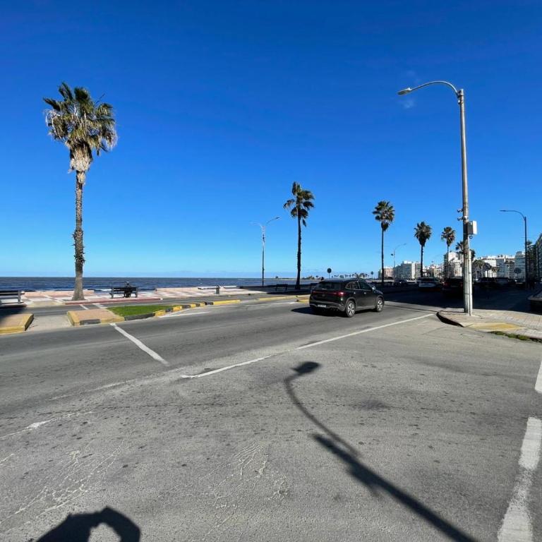 Frente al mar - Apartamento de 1 dormitorio - 13