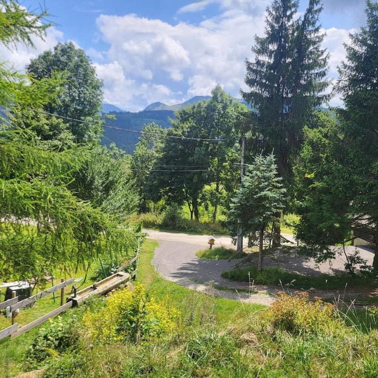 Chalet Chamois & Spa - Chalet 2 Chambres - 4