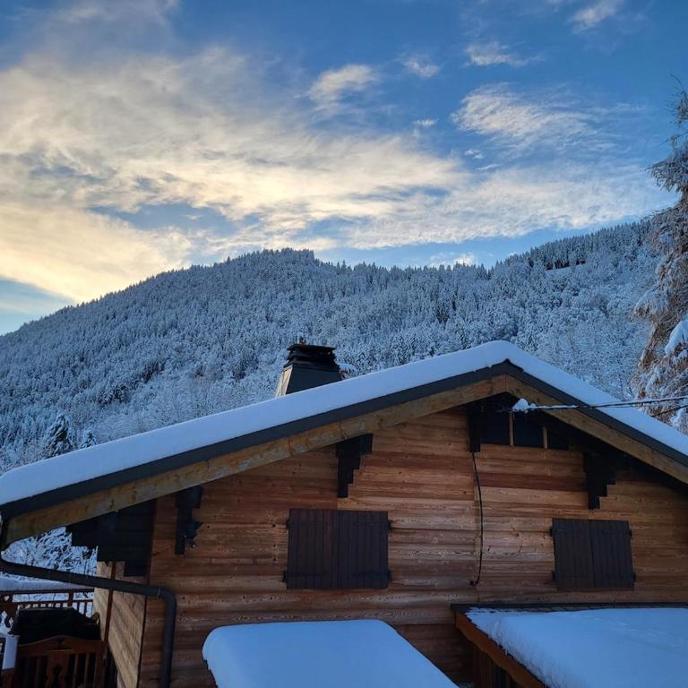 Chalet Chamois & Spa - Chalet 2 Chambres - 13
