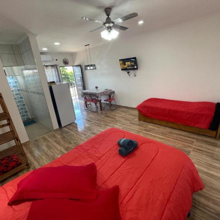 ALOJAMIENTOS EN CATARATAS Depto 5 - Apartamento de 1 dormitorio - 13