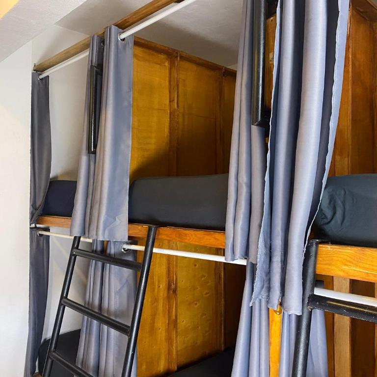 Maui Hostels Playa del Carmen - Bed in 8-Bed Female Dormitory Room - 7