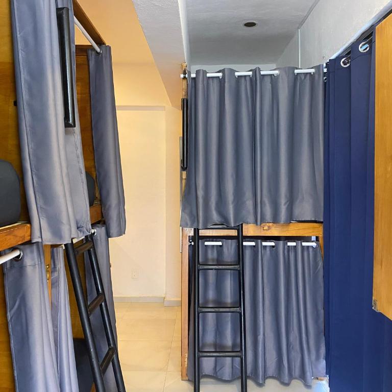 Maui Hostels Playa del Carmen - Bed in 8-Bed Female Dormitory Room - 5