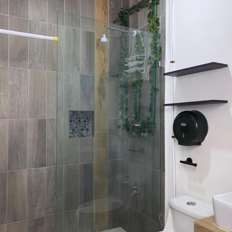 Maui Hostels Playa del Carmen - Bed in 8-Bed Mixed Dormitory Room - 7