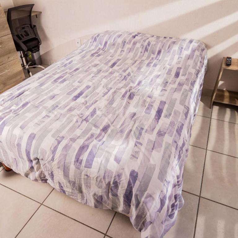Alojamiento céntrico cerca de H. Civil, CUCS, IMSS - Apartamento - 14