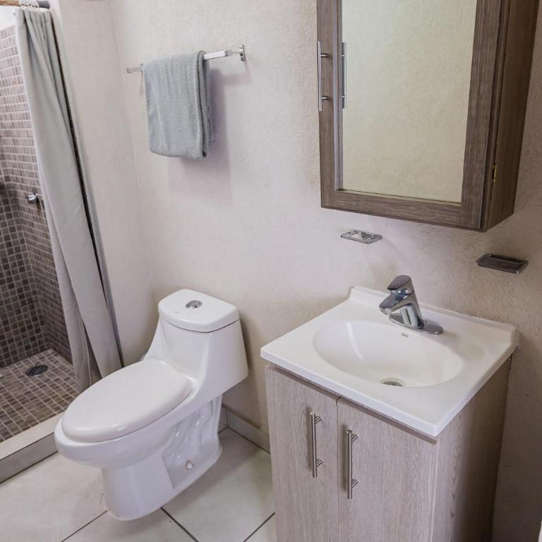 Alojamiento céntrico cerca de H. Civil, CUCS, IMSS - Apartamento - 41