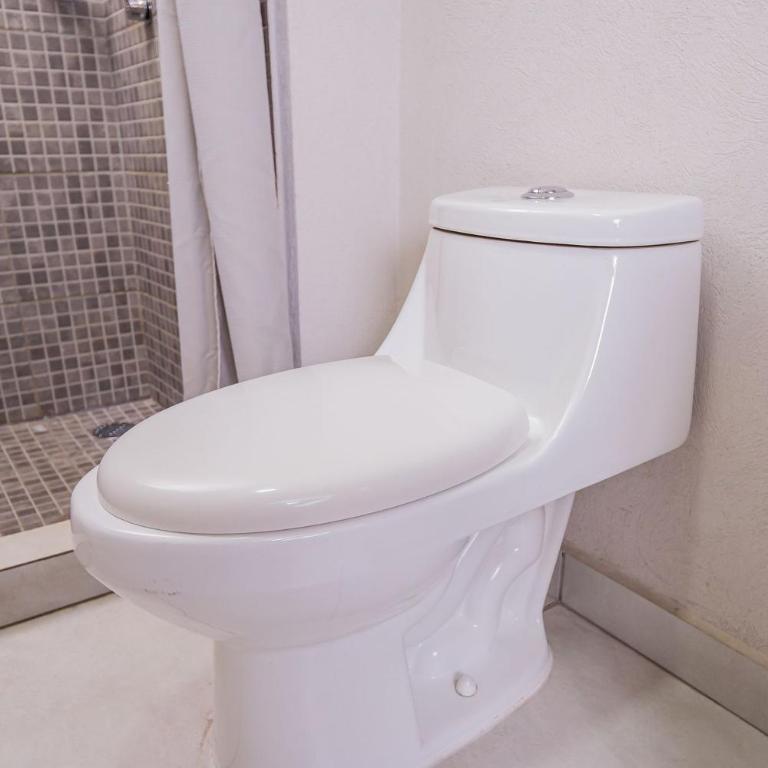 Alojamiento céntrico cerca de H. Civil, CUCS, IMSS - Apartamento - 43