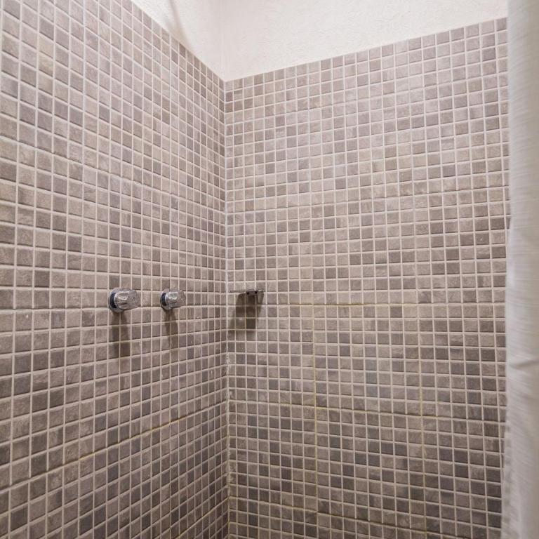 Alojamiento céntrico cerca de H. Civil, CUCS, IMSS - Apartamento - 47