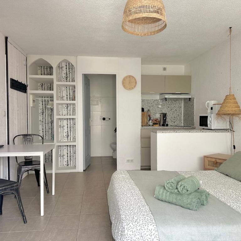 Studio avec espace extérieur privatif - DAX - Appartement 1 Chambre - 13