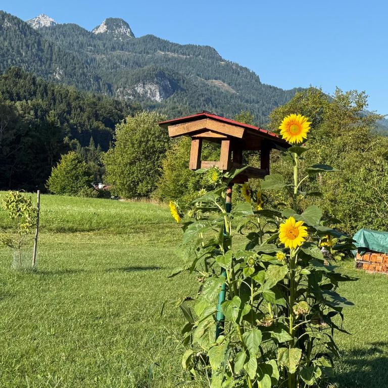 Apartment in St. Jakob im Rosental - Apartment mit Blick auf die Berge - 33