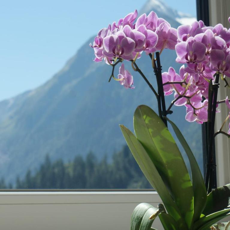 Apartment Kaprun near Ski Lift & Glacier - Apartment - 39