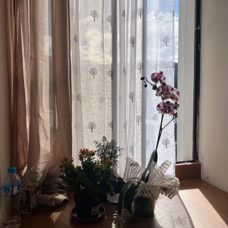 Parke inglés - One-Bedroom Apartment - 13