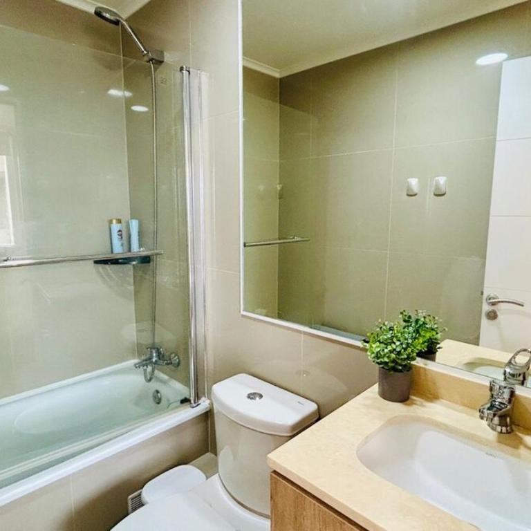 Departamento Estudio Centro Osorno - One-Bedroom Apartment - 4