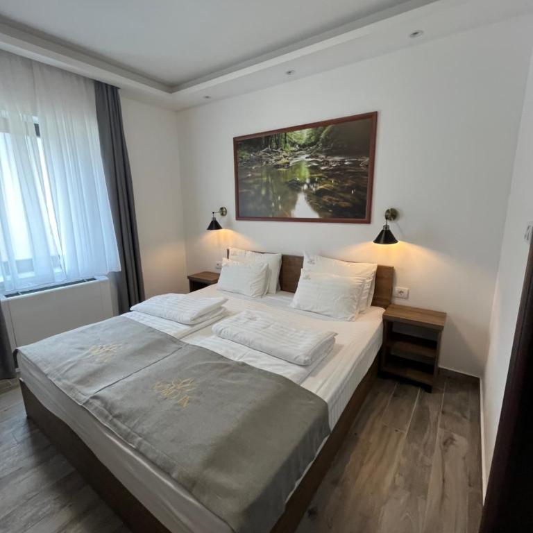 Soko IN Spa - Klasičan Apartman - 13
