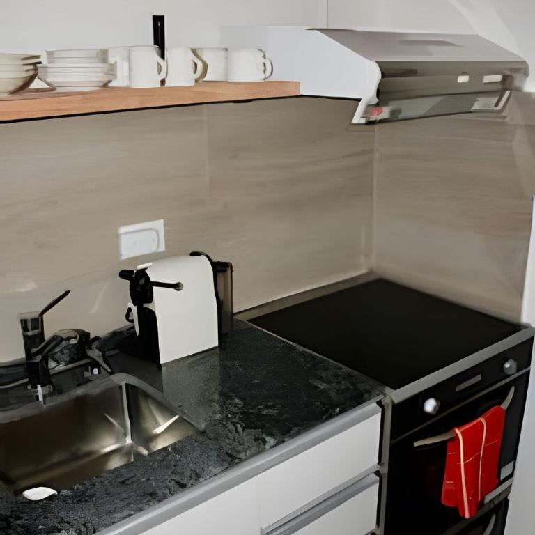 Departamento nuevo a metros de Cementerio de la Recoleta - Apartamento - 49