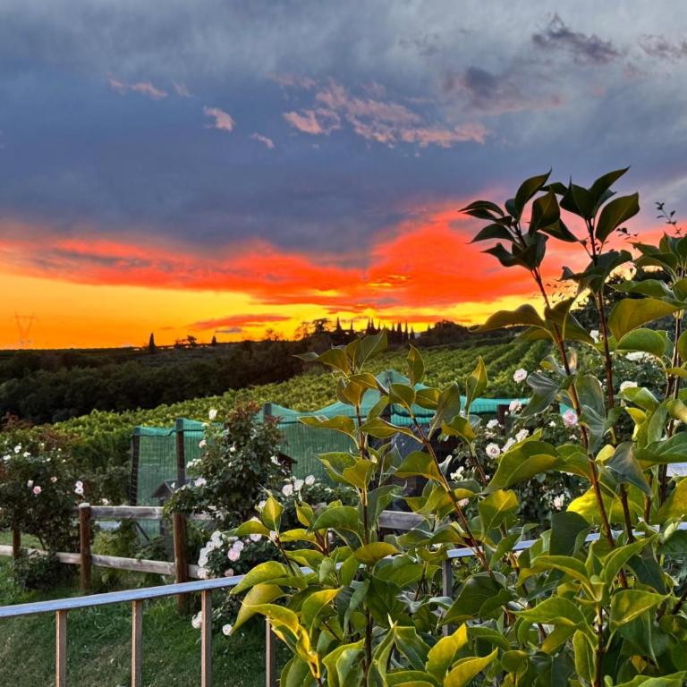 Agriturismo Corte Busòla jacuzzi riscaldata uso esclusivo ad un passo da Verona - Appartamento con 1 Camera da Letto - 38