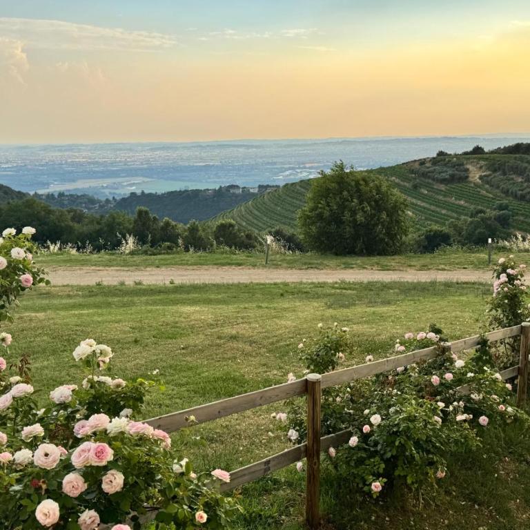 Agriturismo Corte Busòla jacuzzi riscaldata uso esclusivo ad un passo da Verona - Appartamento con 1 Camera da Letto - 28